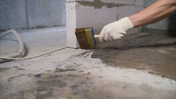 Top rated local Waterproofing specialists in Partlow, VA